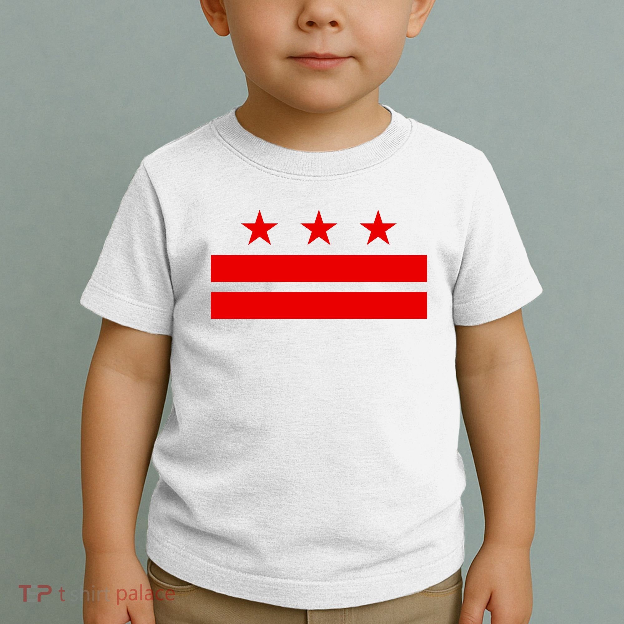 Washington Dc Flag D.C. Capitol Toddler T-Shirt