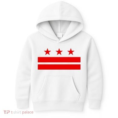 Washington Dc Flag D.C. Capitol Kids Hoodie