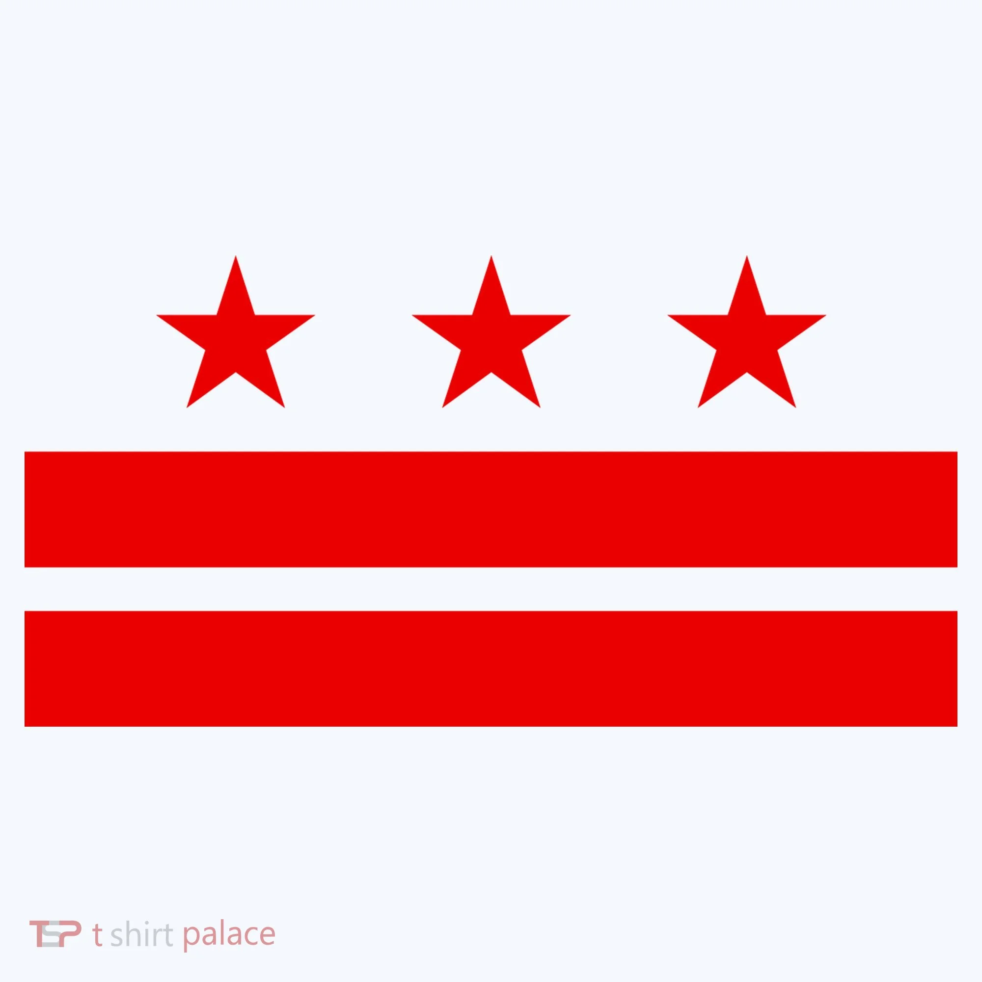 Washington Dc Flag D.C. Capitol Kids T-Shirt