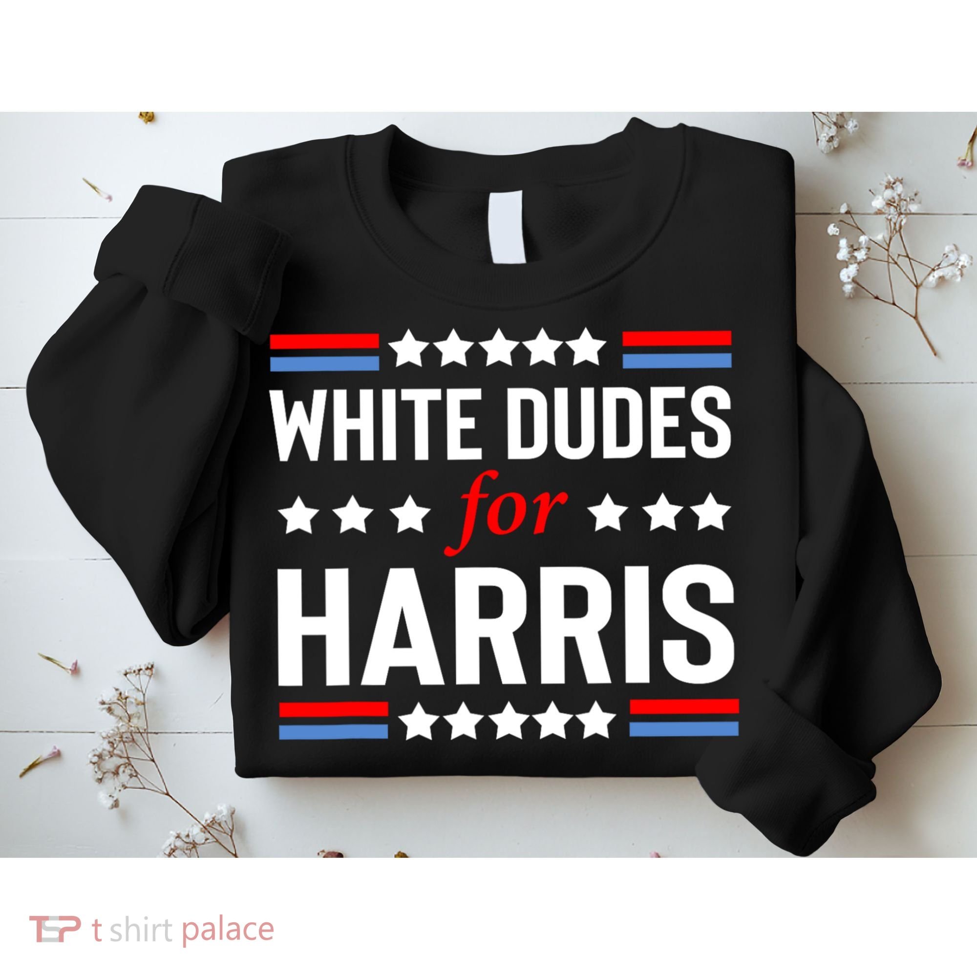 White Dudes For Harris 2024 For President Sweatshirt