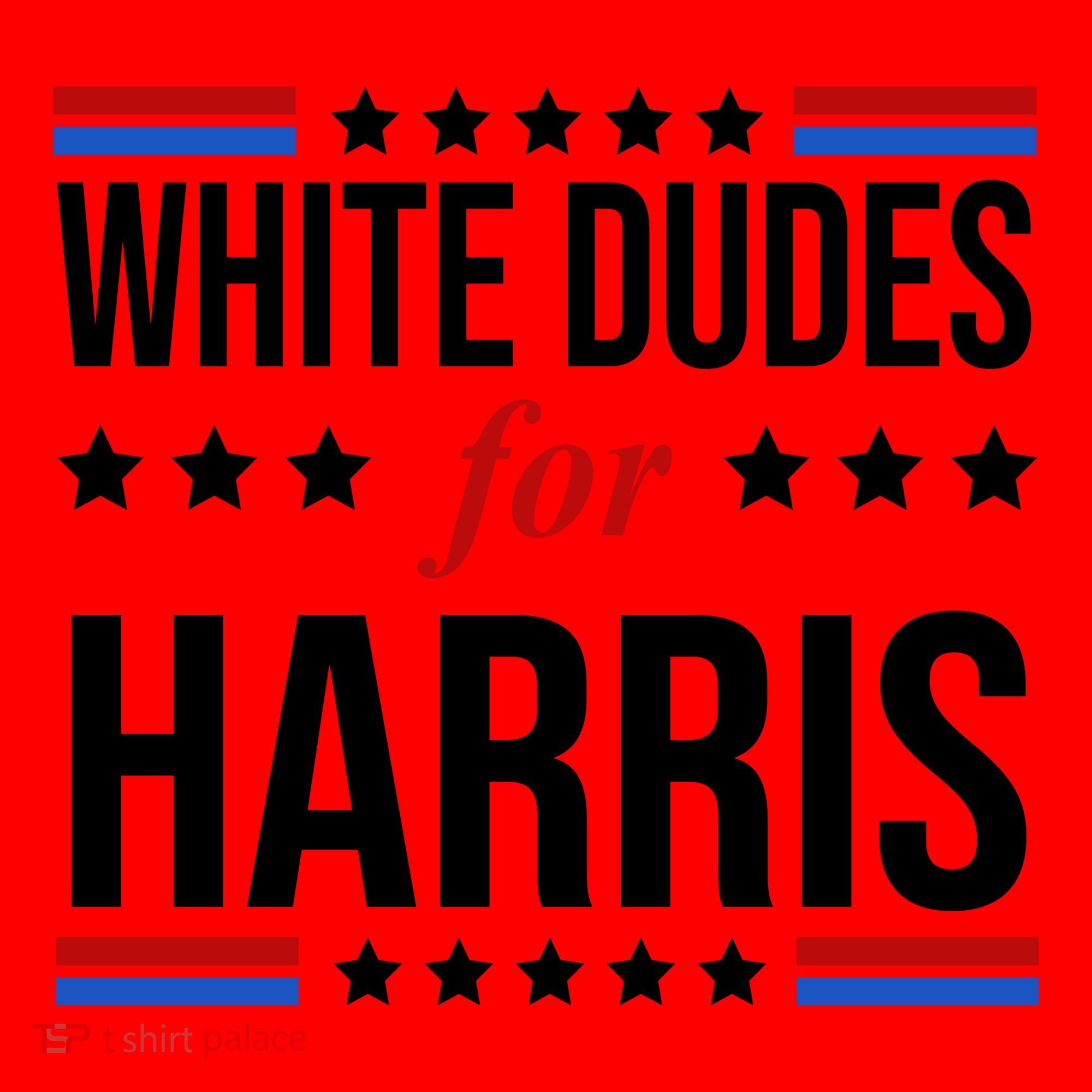 White Dudes For Kamala Harris Election Santa Hat