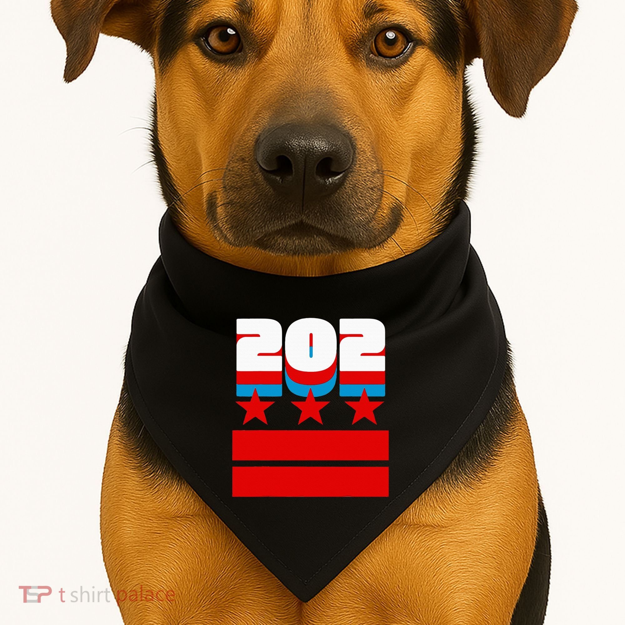 Washington Dc Flag USA-Made Doggie Bandana