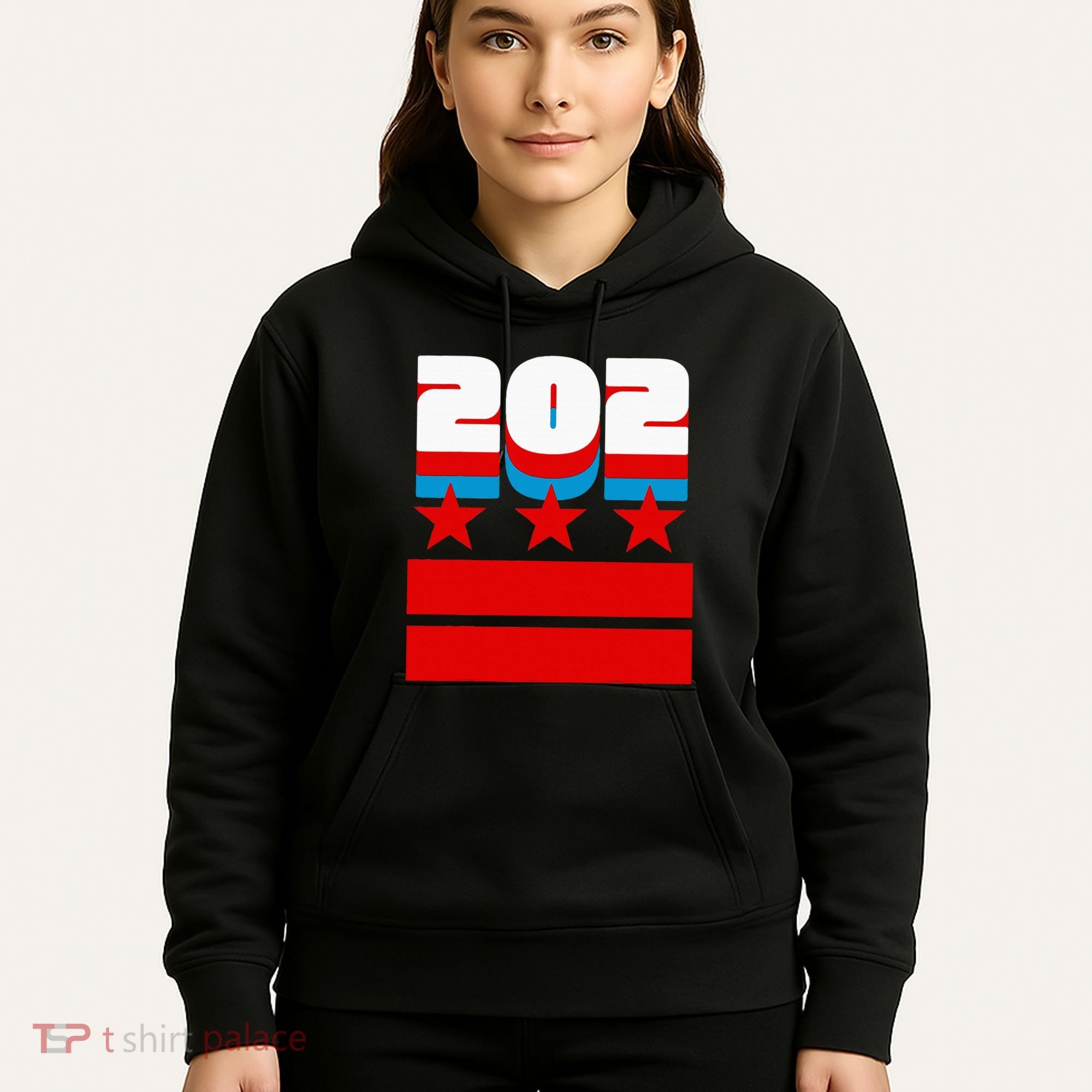 Washington Dc Flag Hoodie