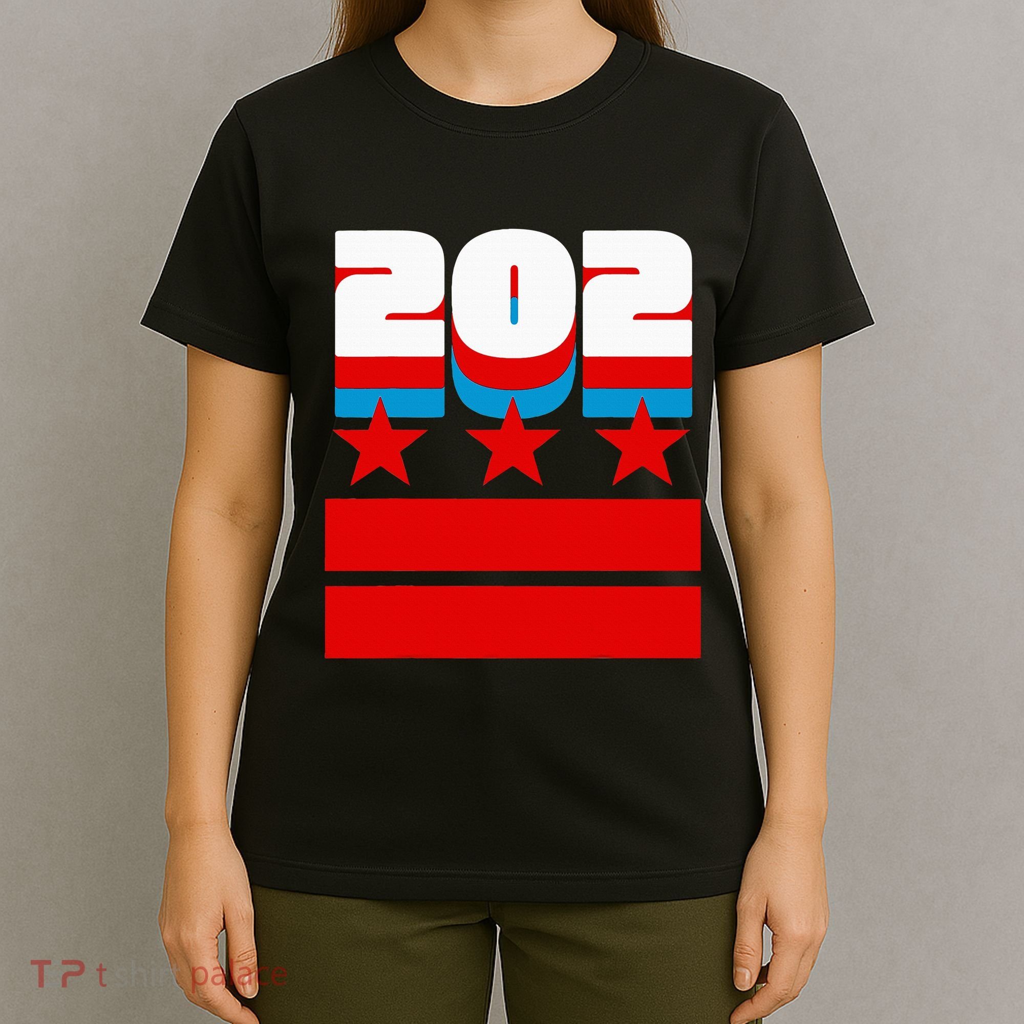 Washington Dc Flag T-Shirt