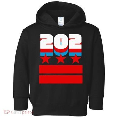 Washington Dc Flag Toddler Hoodie