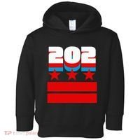 Washington Dc Flag Toddler Hoodie thumb 0