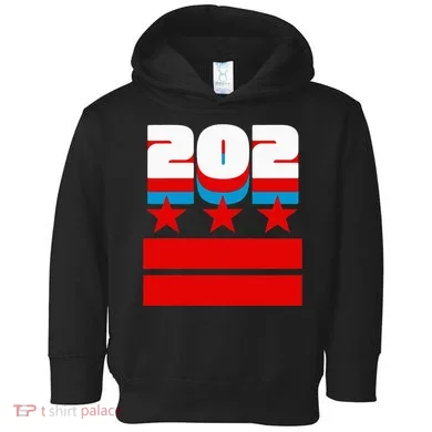 Washington Dc Flag Toddler Hoodie