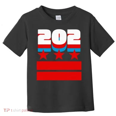 Washington Dc Flag Toddler T-Shirt