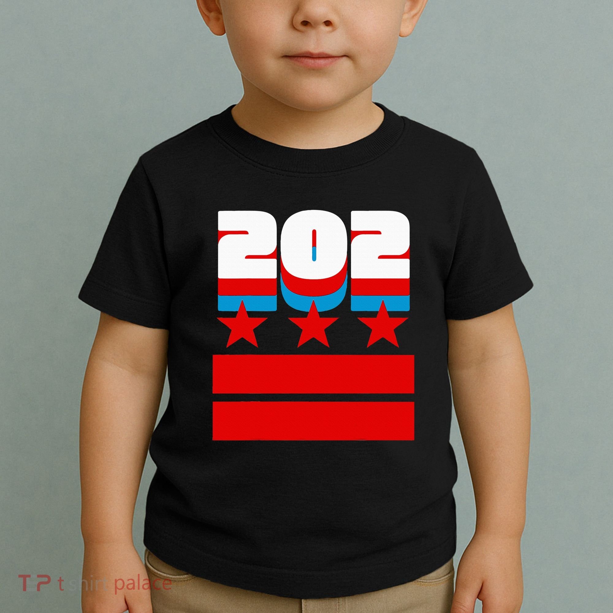 Washington Dc Flag Toddler T-Shirt