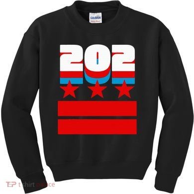 Washington Dc Flag Kids Sweatshirt