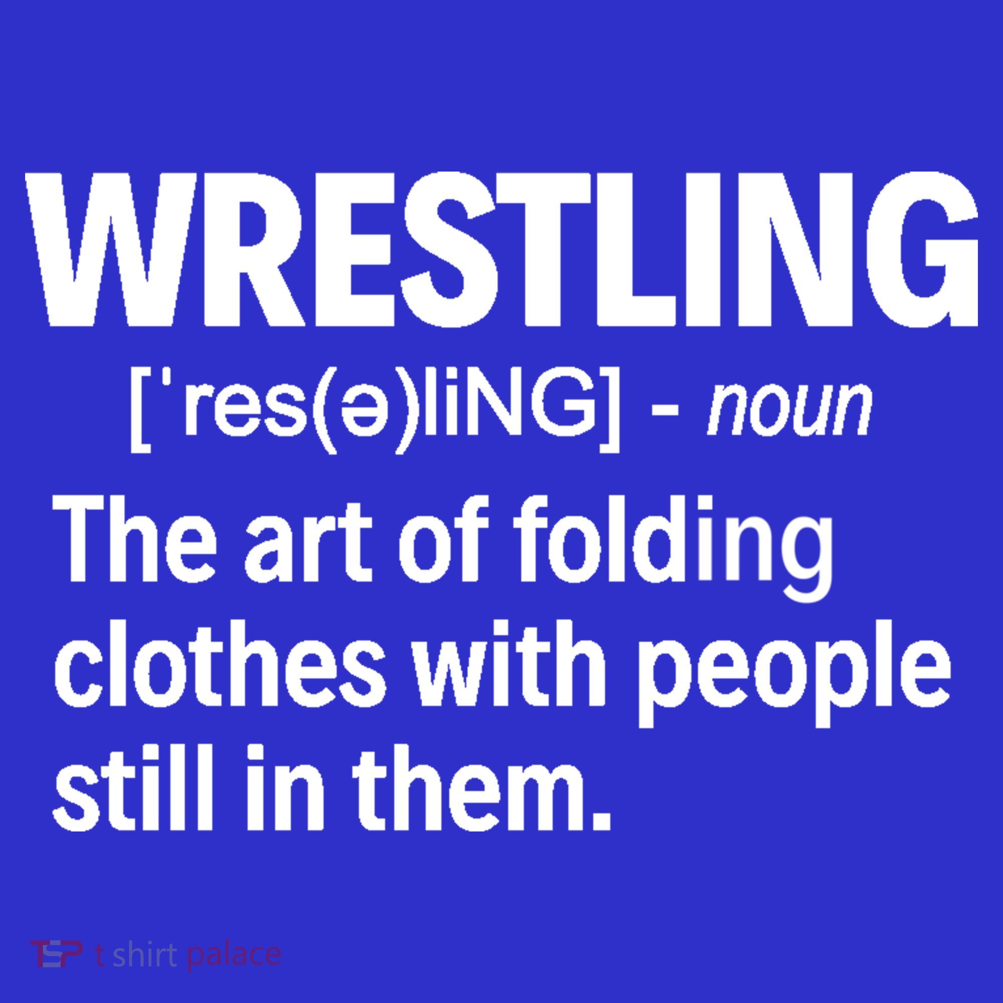 Wrestling Definition Great Gift Tumbler