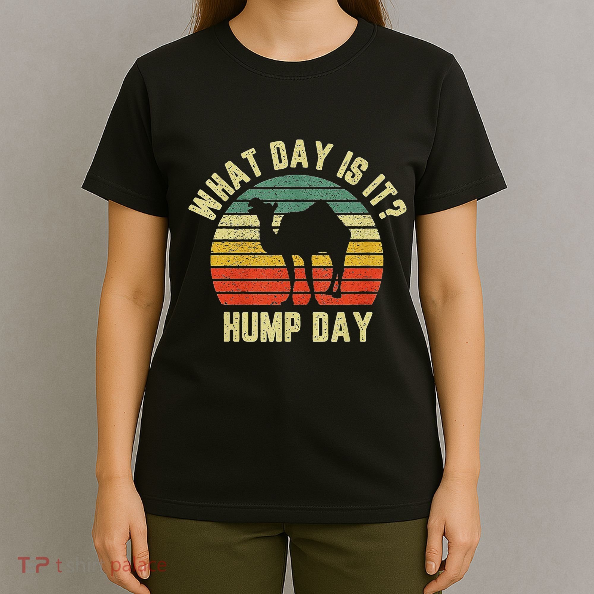 What Day Is It Hump Day Camel Retro Vintage Sunset T-Shirt