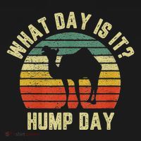 What Day Is It Hump Day Camel Retro Vintage Sunset T-Shirt thumb 7