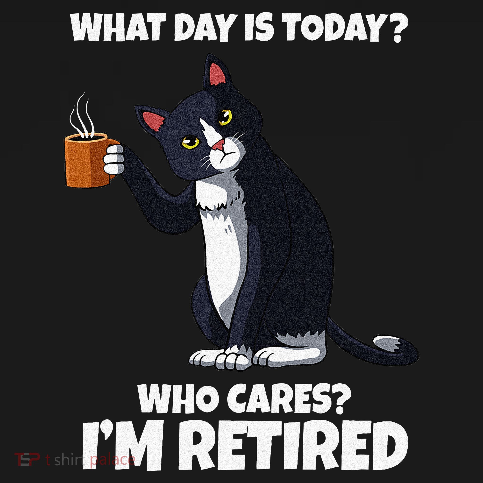 What Day Is Today Im Retired Cat Kitten Lover Women's Hoodie
