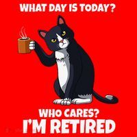 What Day Is Today Im Retired Cat Kitten Lover Santa Hat thumb 1