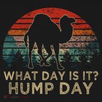 What Day Is It Hump Day Bucket Hat thumb 4