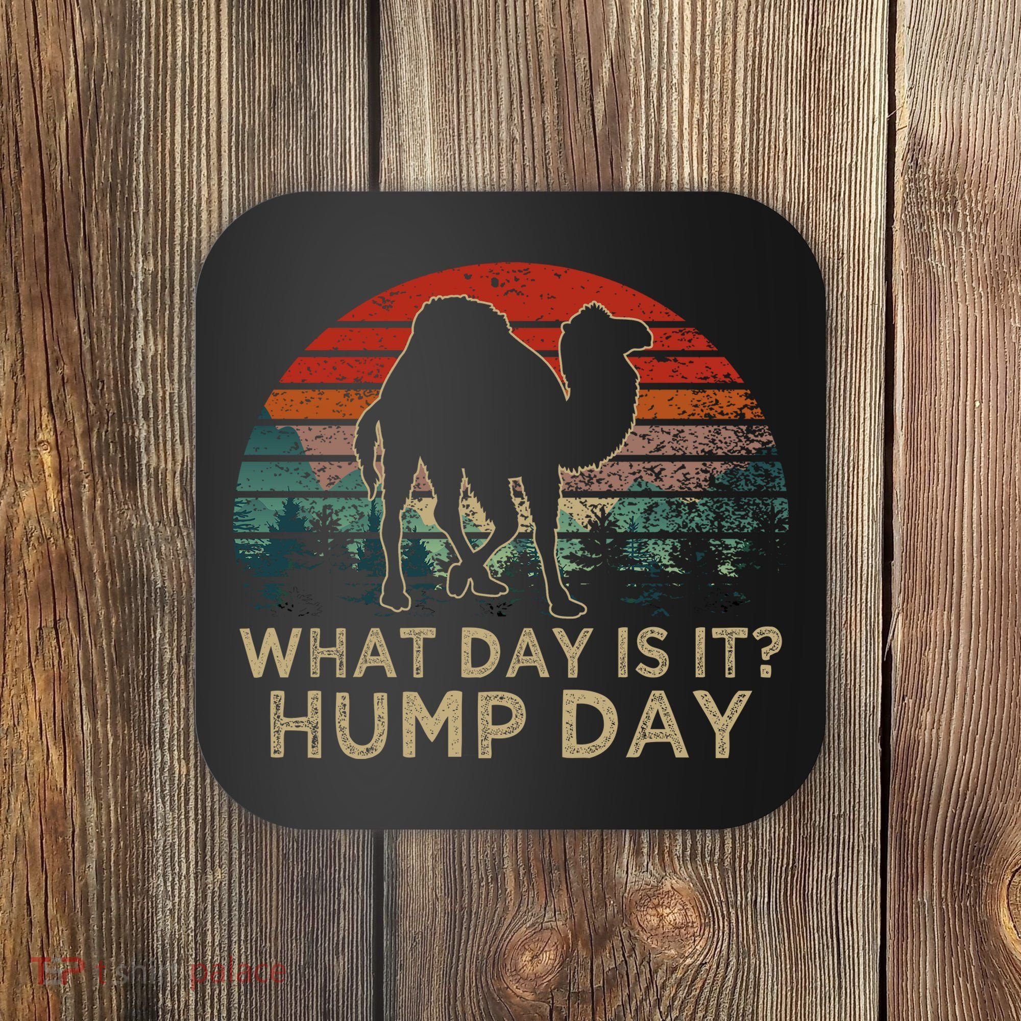 What Day Is It Hump Day Coaster