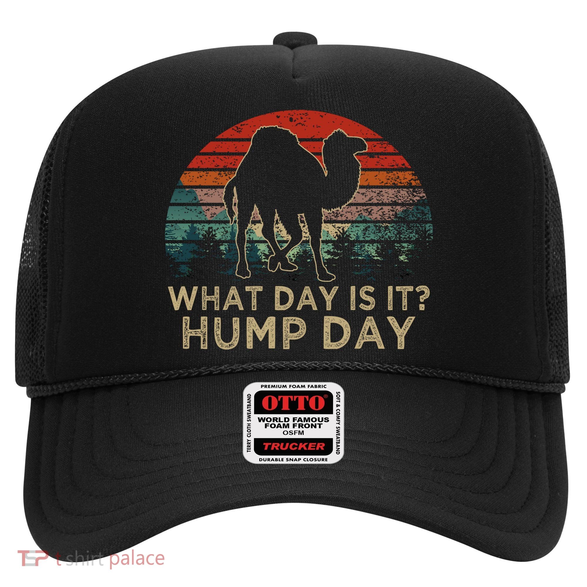 What Day Is It Hump Day Hat