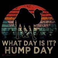 What Day Is It Hump Day Women's T-Shirt thumb 6