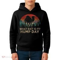 What Day Is It Hump Day Kids Hoodie thumb 4