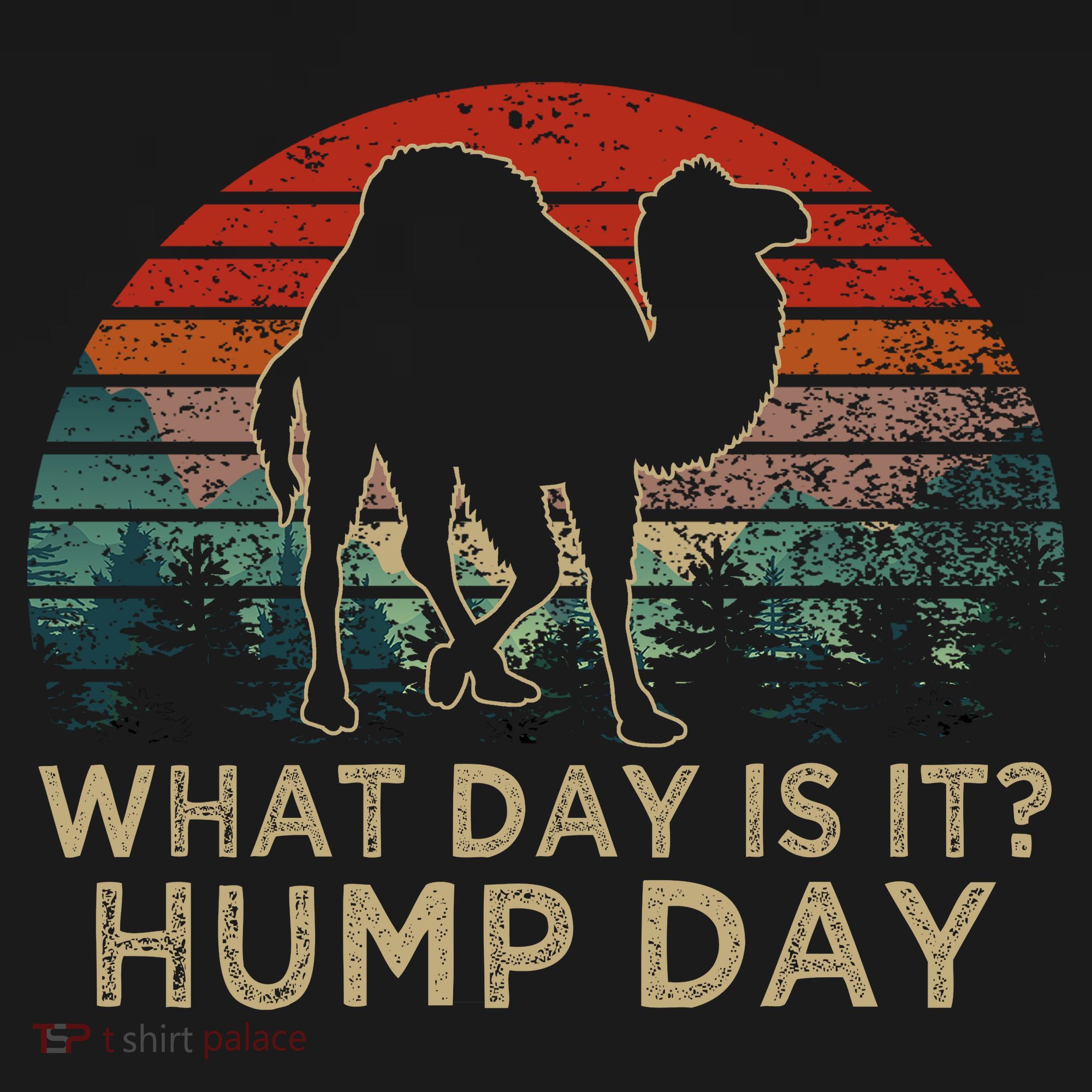 What Day Is It Hump Day Kids T-Shirt