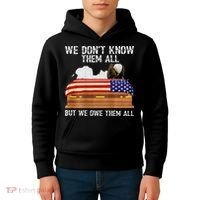 We Dont Know Them All But We Owe Them All 4th Of July Back Kids Hoodie thumb 4