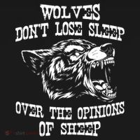 Wolves Dont Lose Sleep Over Opinions Of Sheep Wolf Gift Women's Hoodie thumb 2
