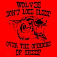 Wolves Dont Lose Sleep Over Opinions Of Sheep Wolf Gift Santa Hat thumb 1