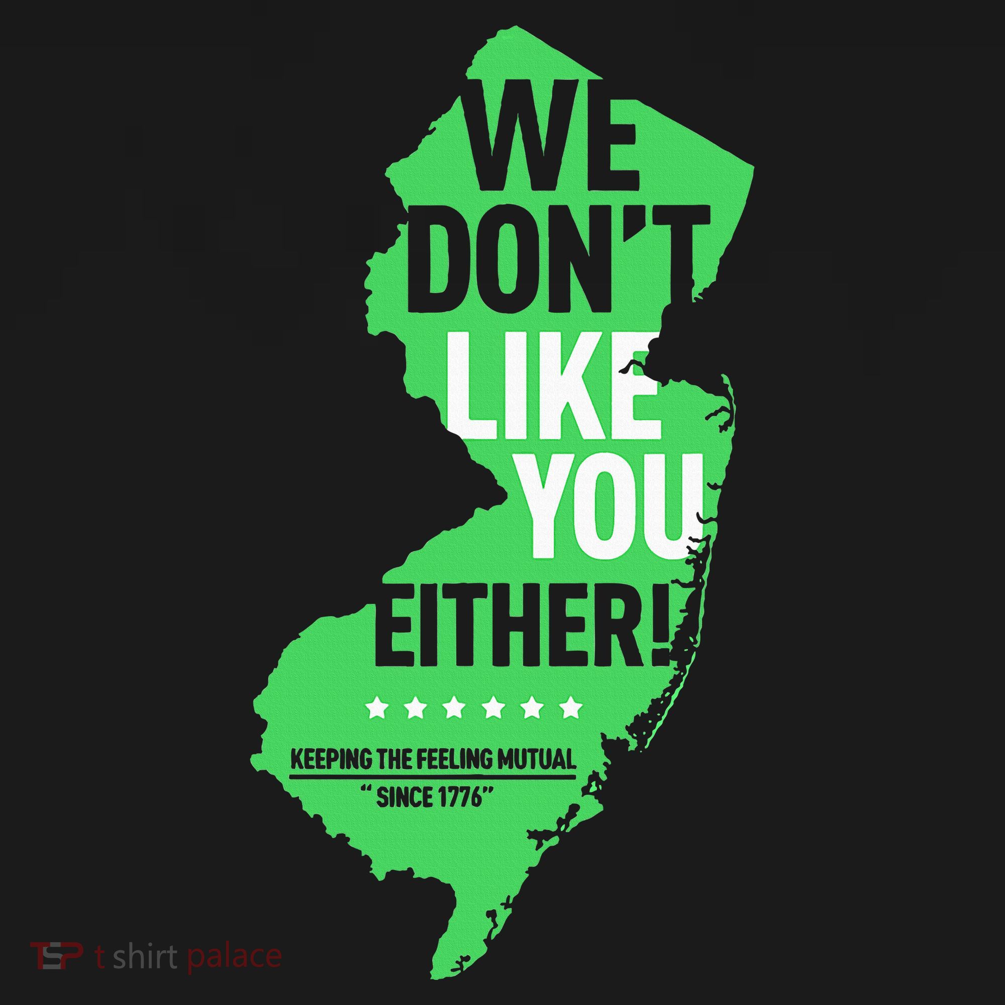 We DonT Like You Either New Jersey New York Rivalry Women's Hoodie