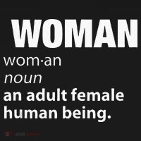 Woman Definition Noun An Adult Human Female Graphic T-Shirt thumb 7