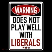 WARNING Does Not Play Well With LIBERALS Toddler Hoodie thumb 2