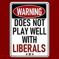 WARNING Does Not Play Well With LIBERALS Hoodie thumb 7