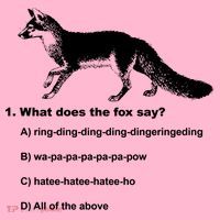 What Does The Fox Say Coaster thumb 2