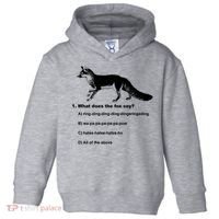 What Does The Fox Say Toddler Hoodie thumb 0