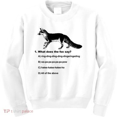 What Does The Fox Say Kids Sweatshirt
