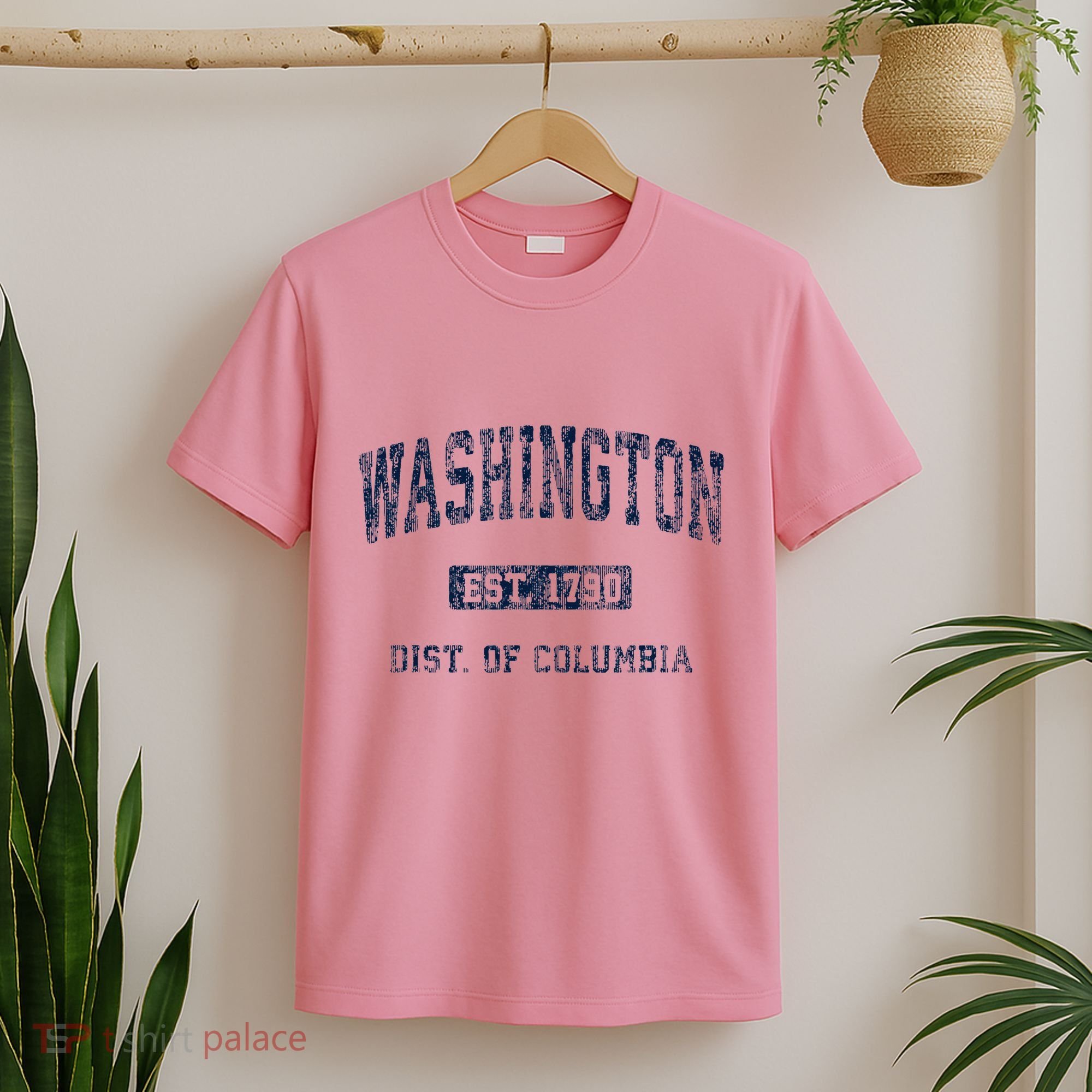 Washington Dc Vintage Athletic Sports T-Shirt