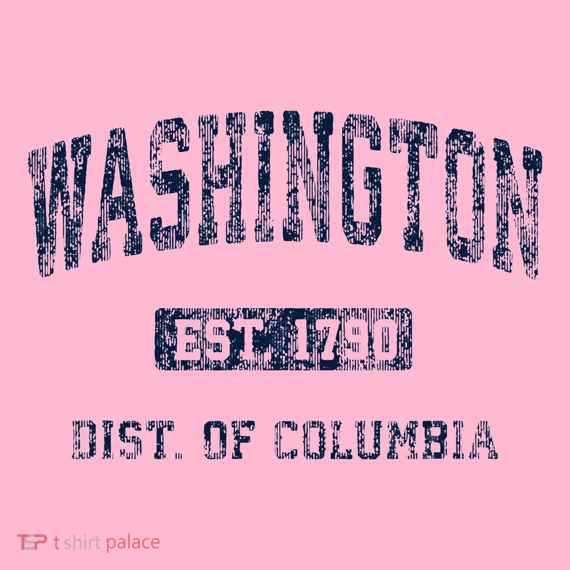 Washington Dc Vintage Athletic Sports T-Shirt