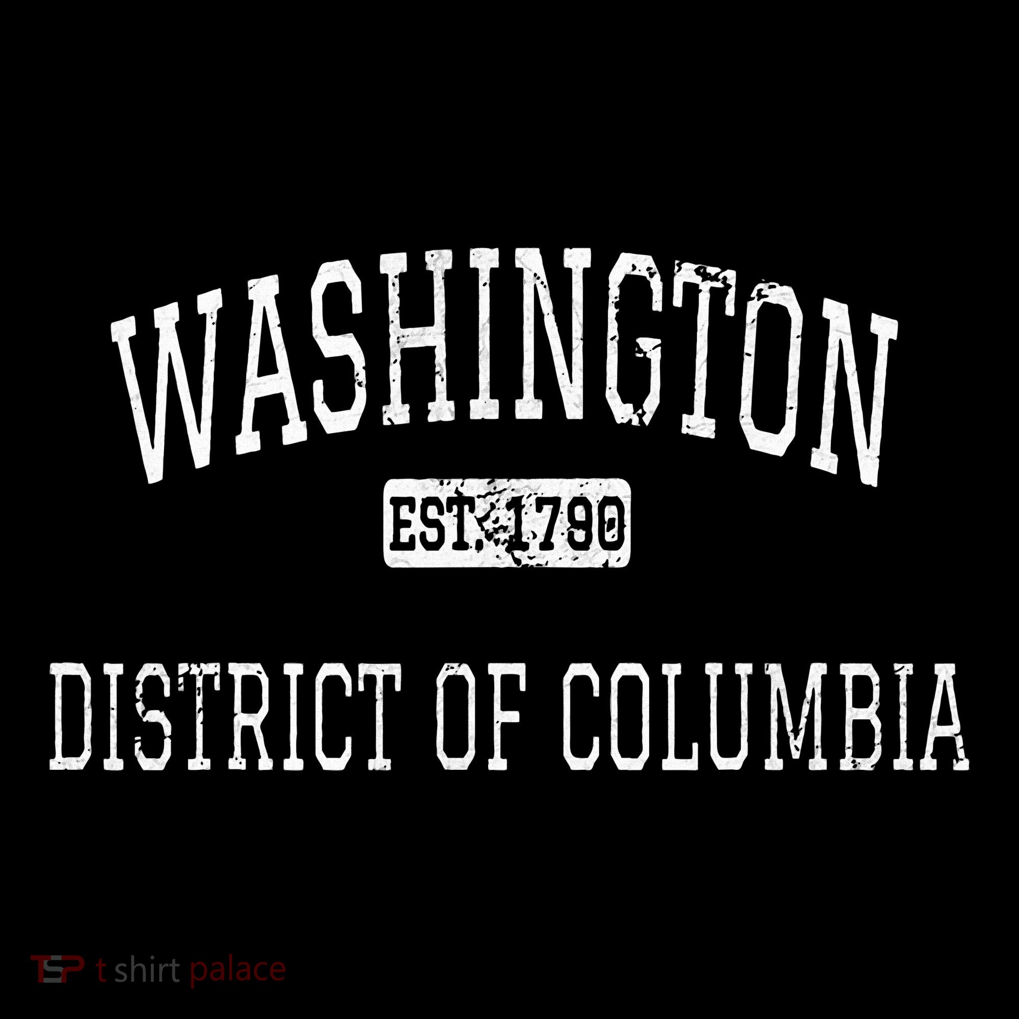 Washington Dc Backpack