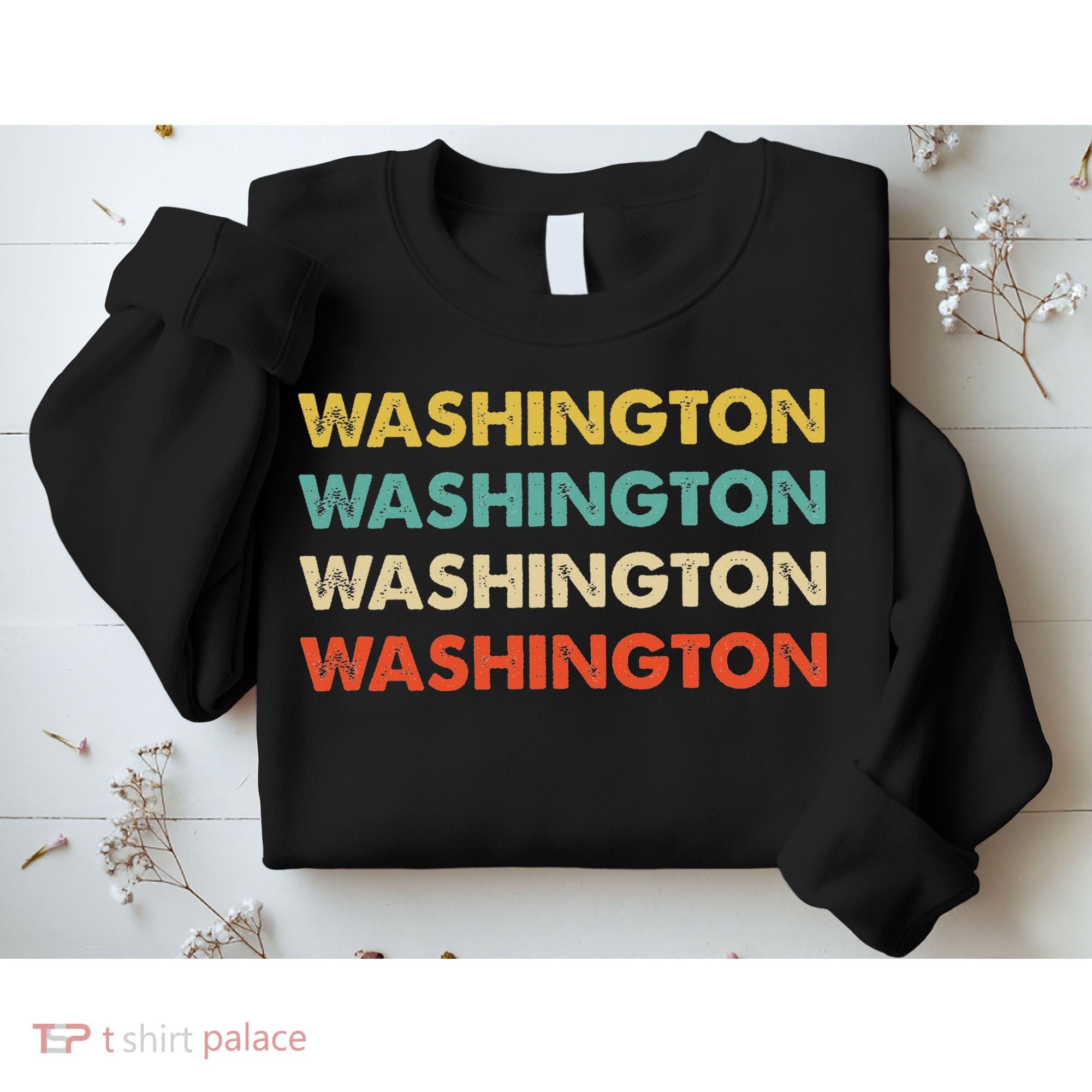 Washington Dc Sweatshirt
