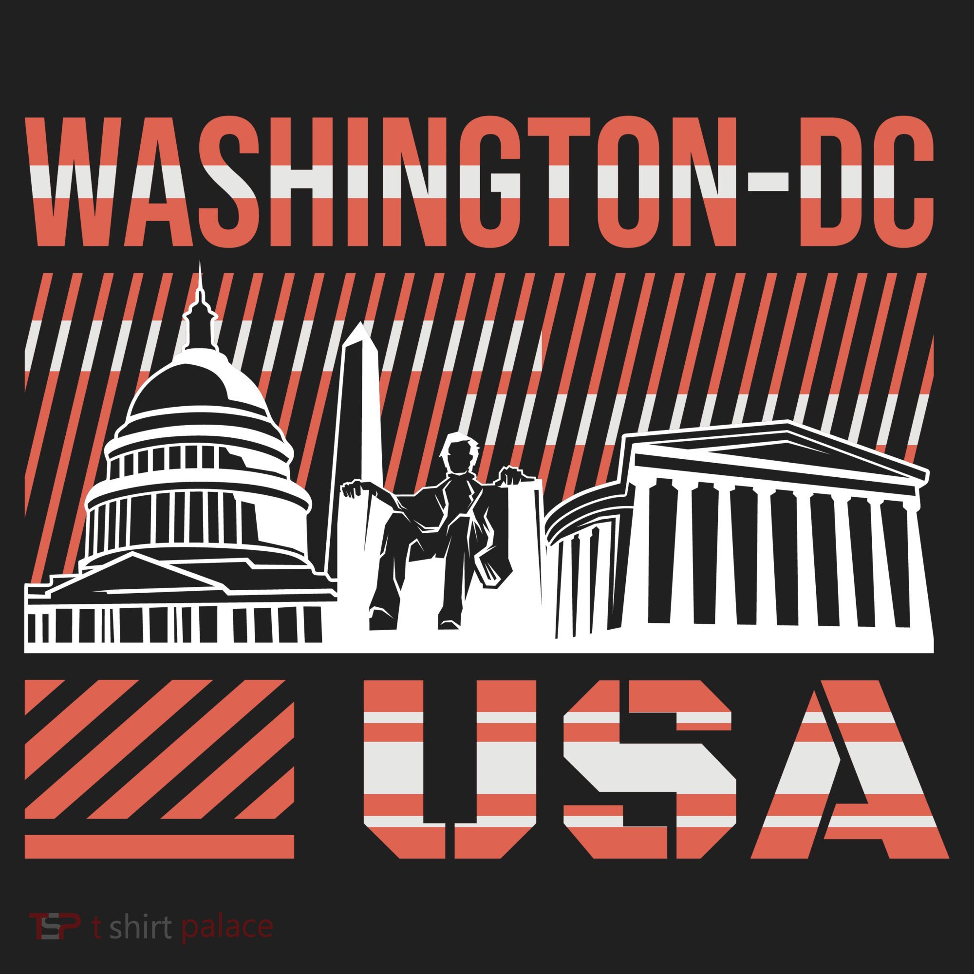Washington DC Hat