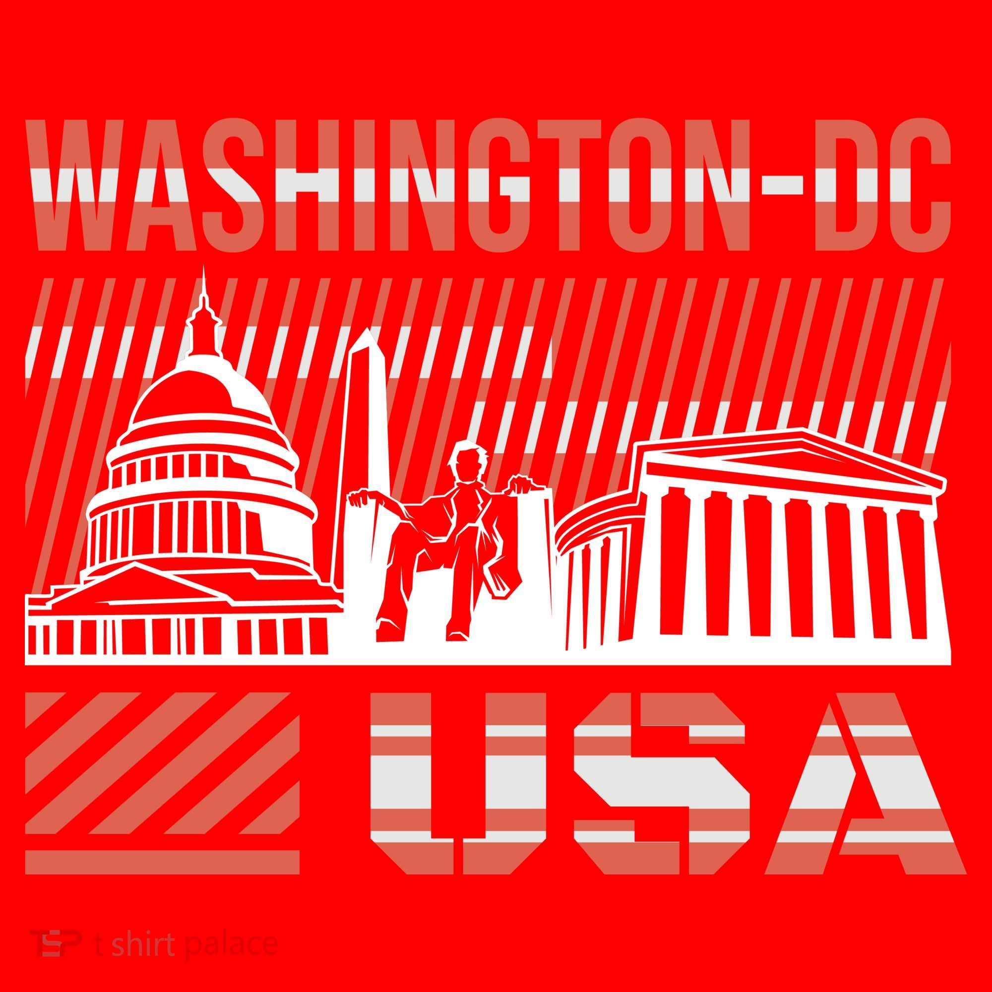 Washington DC Santa Hat