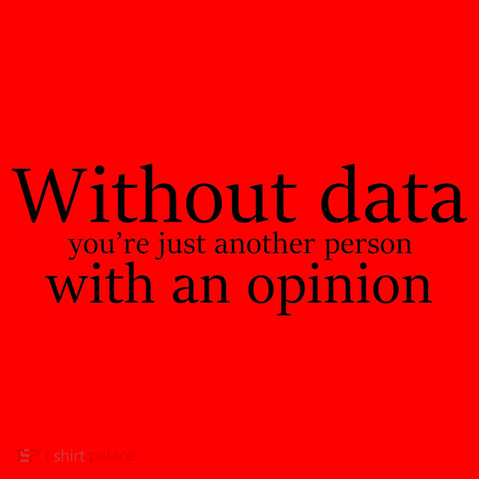 Without Data You're Just Another Person With An Opinion Santa Hat