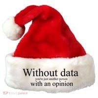 Without Data YouRe Just Another Person With An Opinion Santa Hat thumb 0