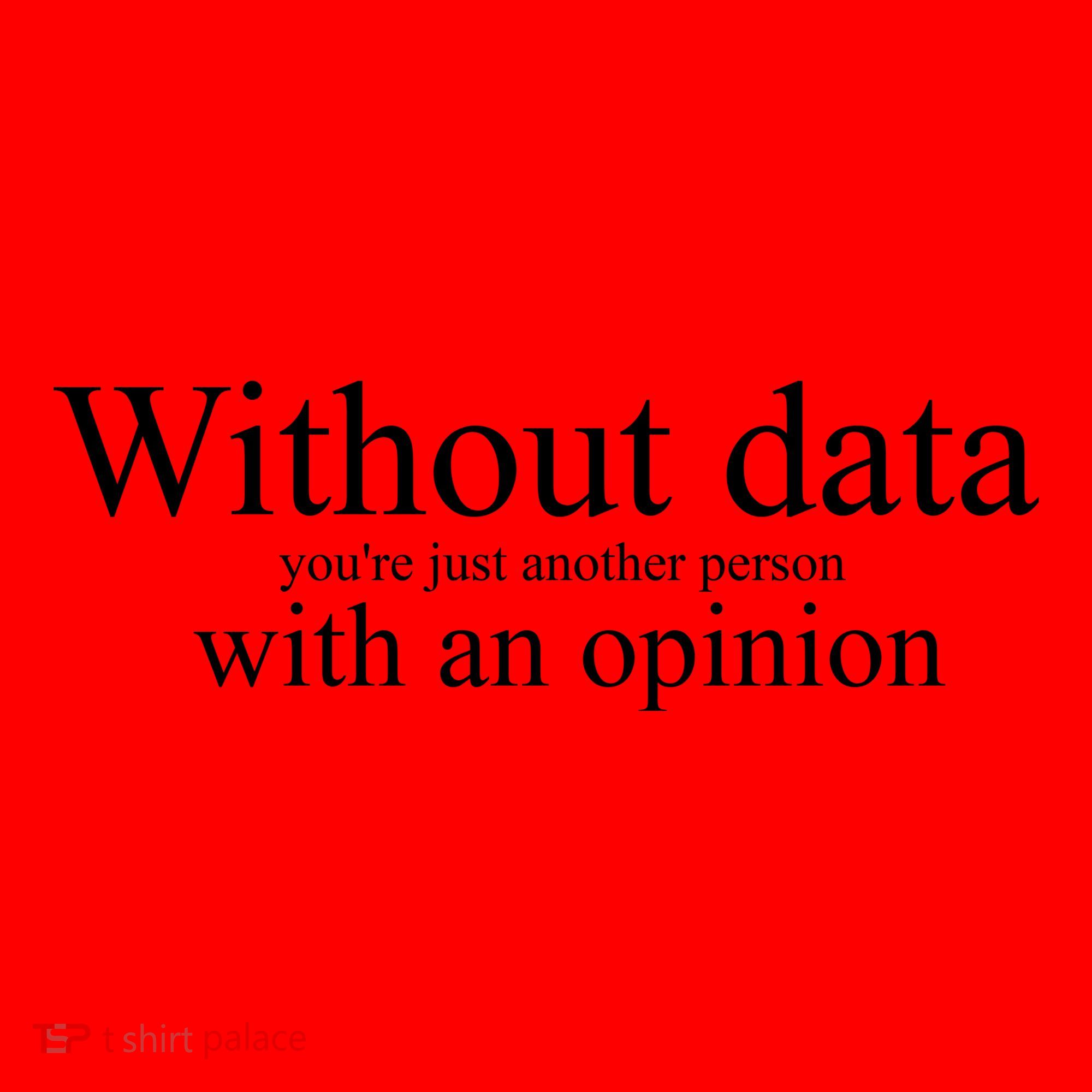 Without Data YouRe Just Another Person With An Opinion Santa Hat