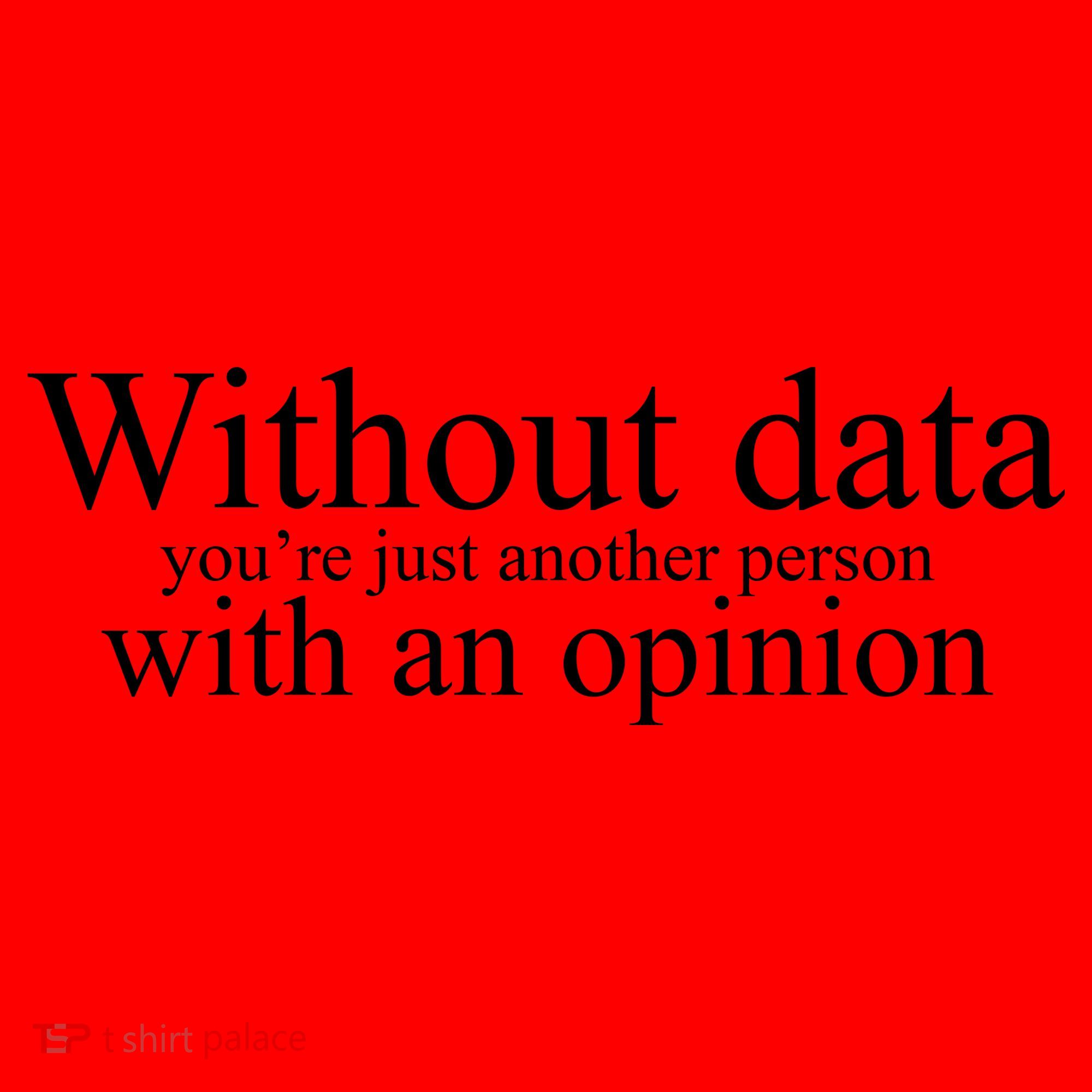 Without Data Youre Just Another Person With An Opinion Santa Hat