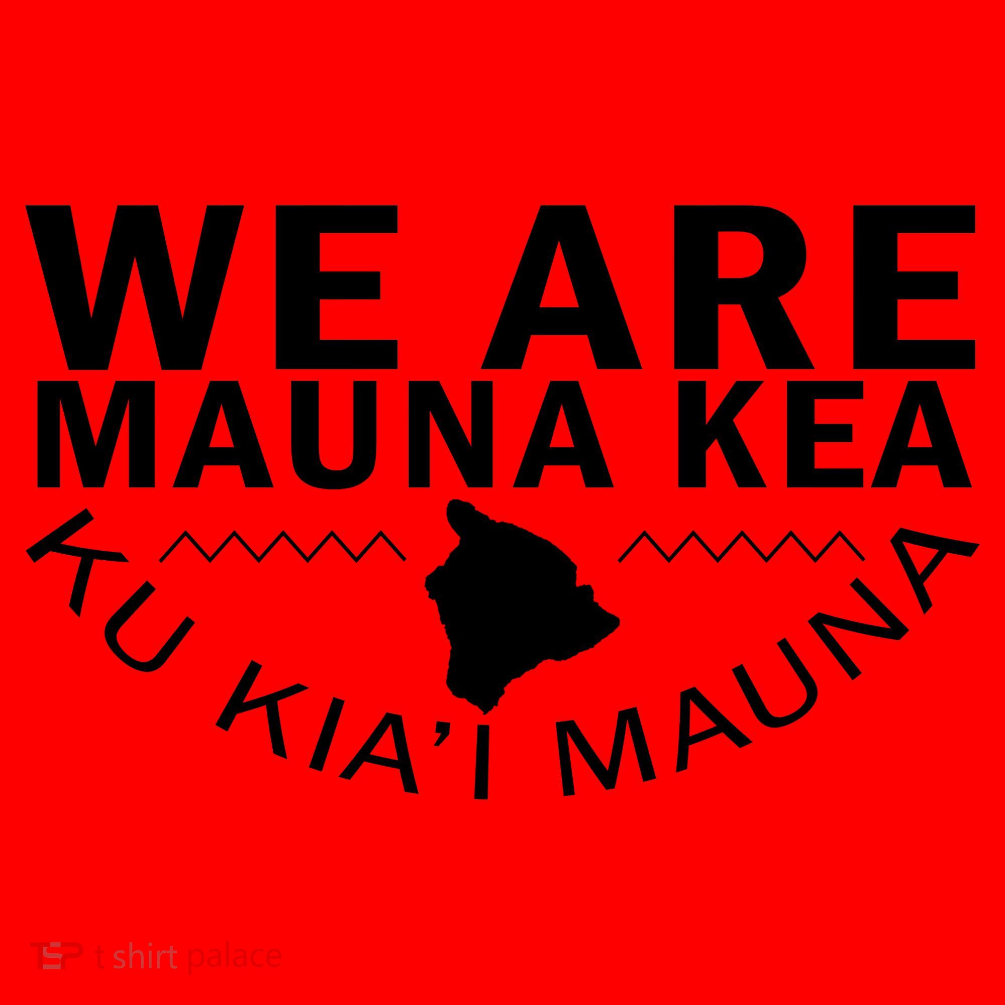 We Are Mauna Kea- Aloha Aina Santa Hat