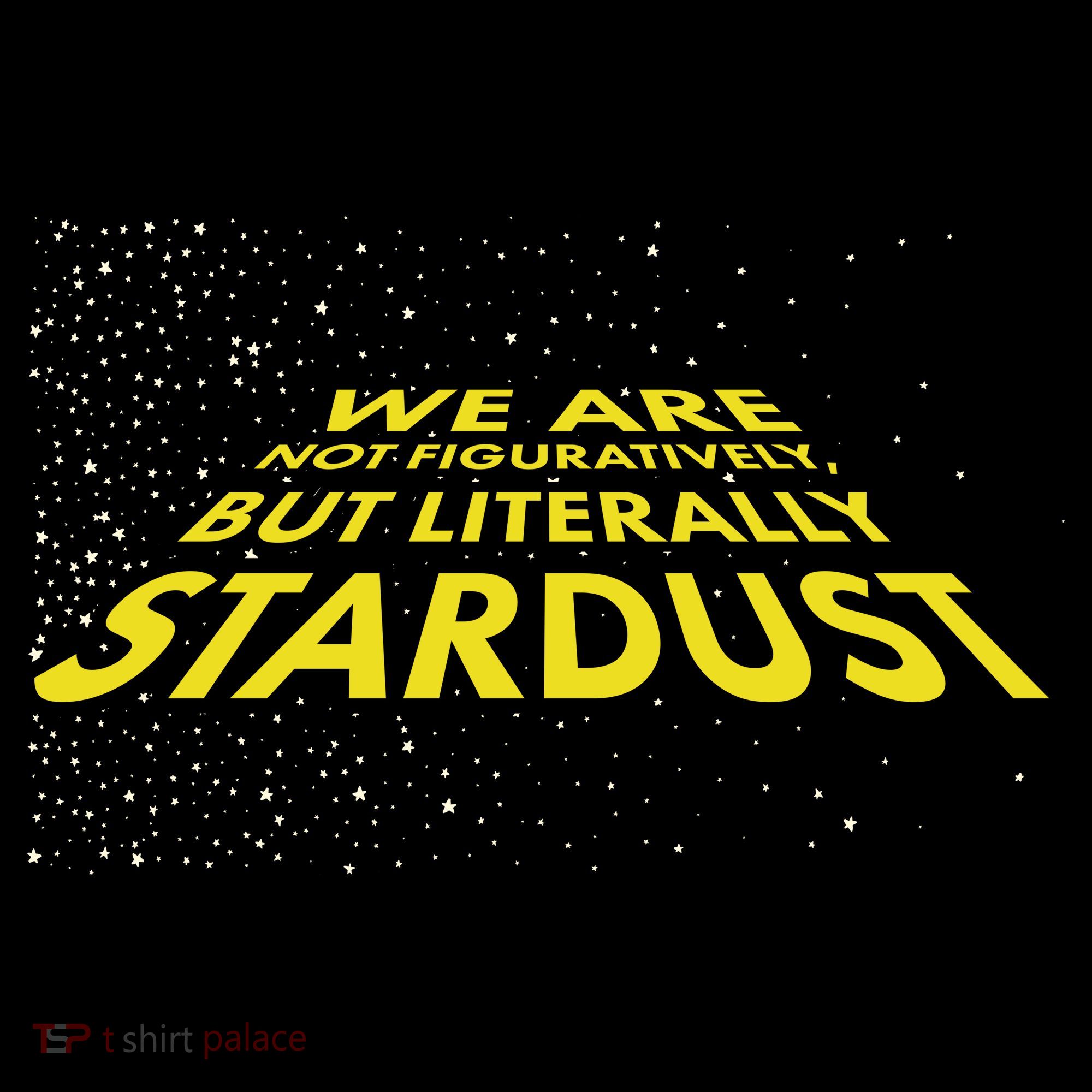We Are Not Figuratively But Literally Stardust Sweatshirt