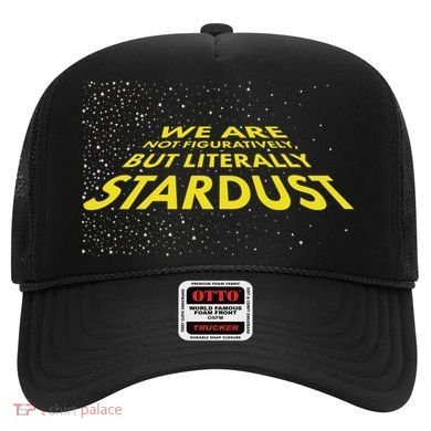 We Are Not Figuratively But Literally Stardust Hat