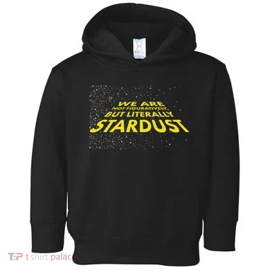 We Are Not Figuratively But Literally Stardust Toddler Hoodie
