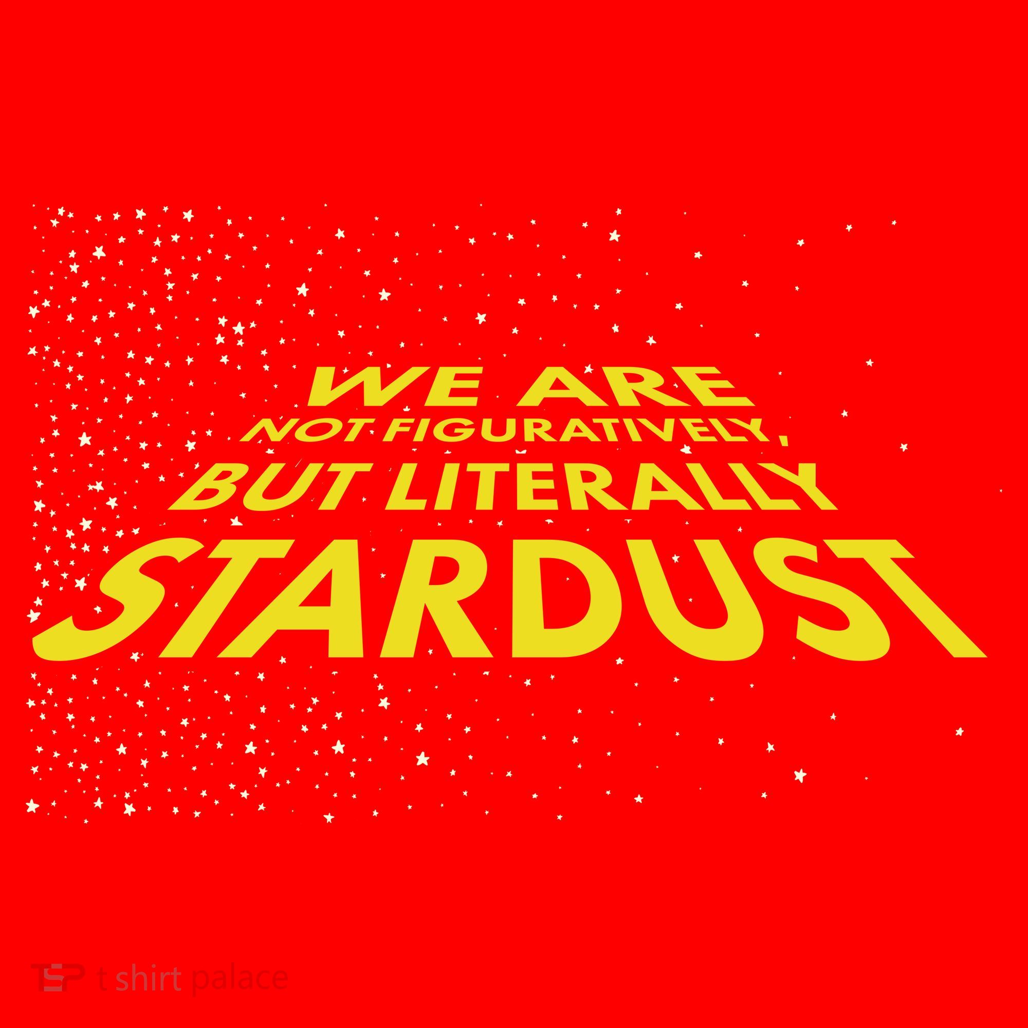 We Are Not Figuratively But Literally Stardust Santa Hat
